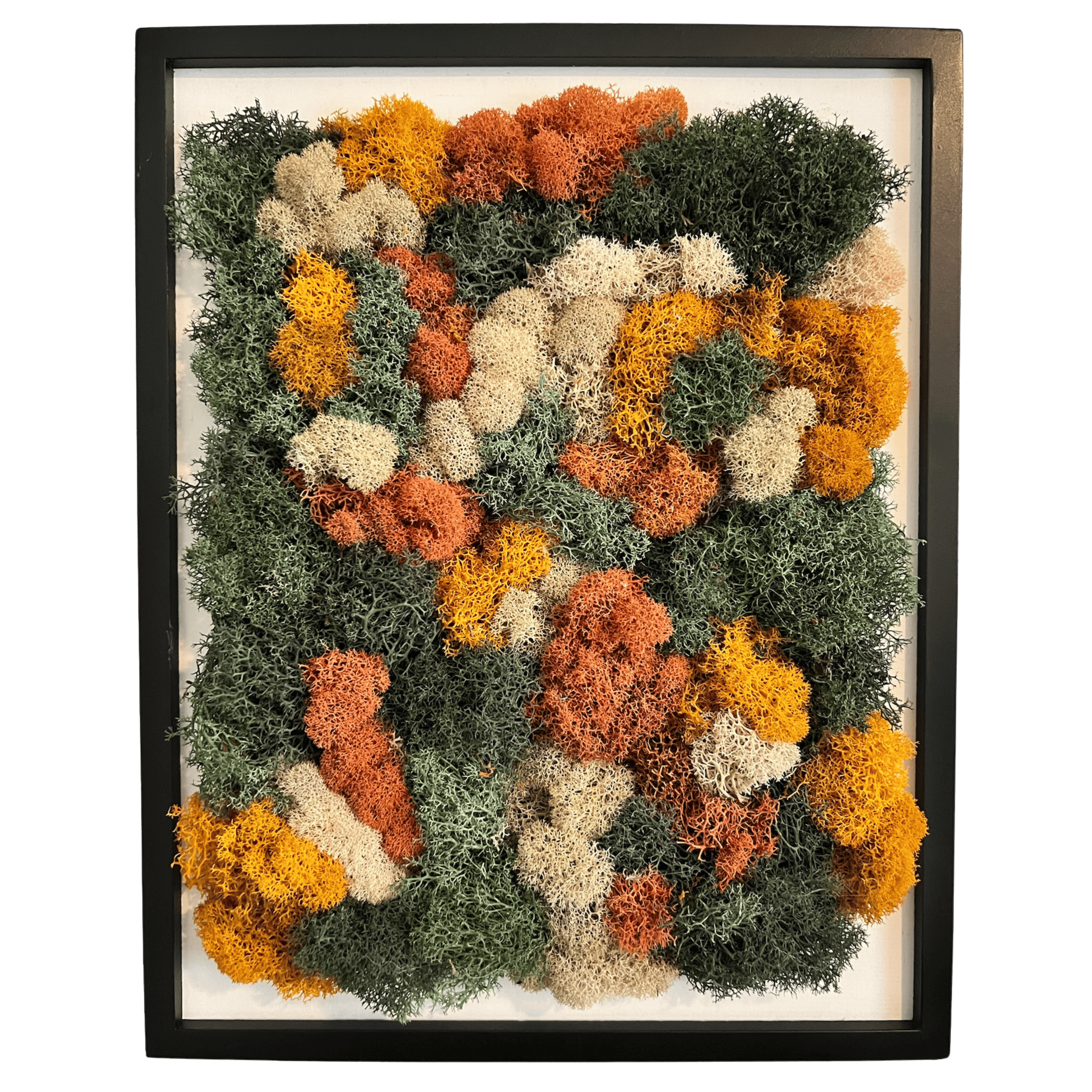 Pillows of Autumn